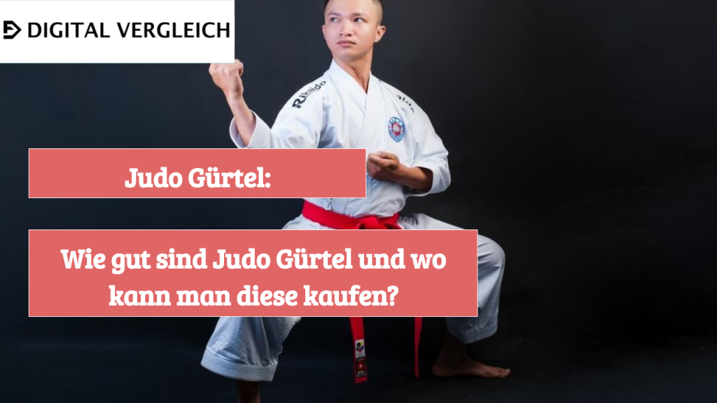 Brauner Judogürtel Mit Label – In Verschiedenen Längen Von 260 Bis 330 Cm, Aus Baumwolle/Polyester